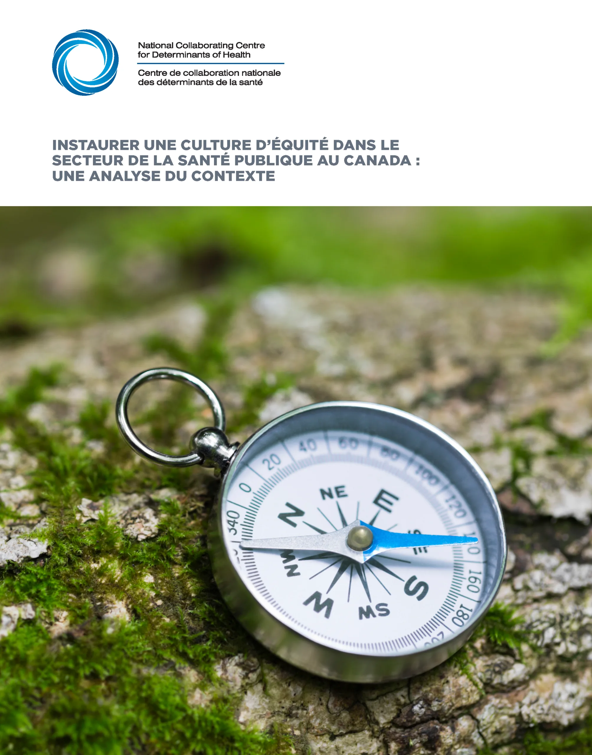 Instaurer une culture d’équité dans le secteur de la santé publique au Canada : Une analyse du contexte