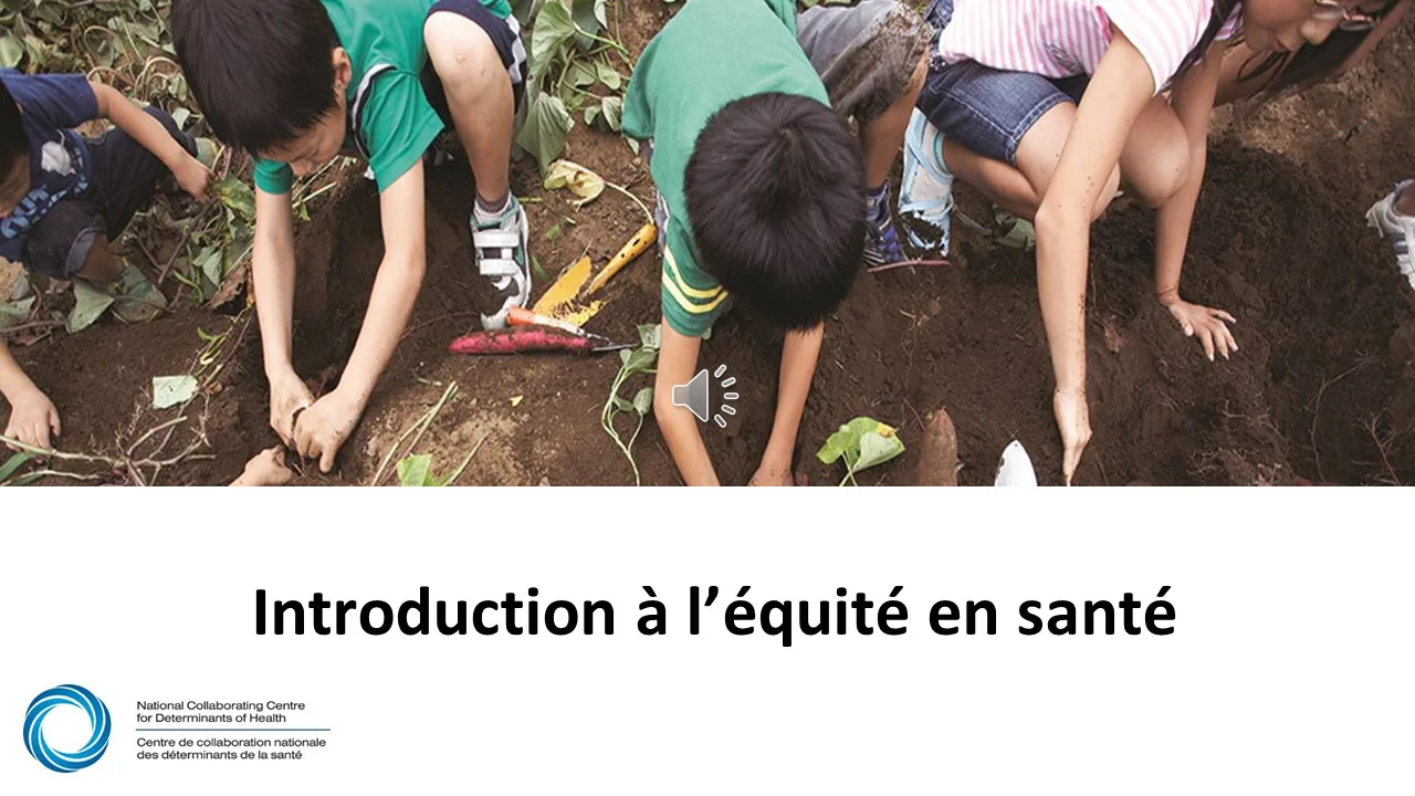 Webinaire 1 du PHESC : Introduction à l’équité en santé