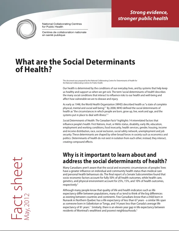What are the social determinants of health?