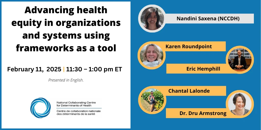 Advancing health equity in organizations and systems using frameworks as a tool