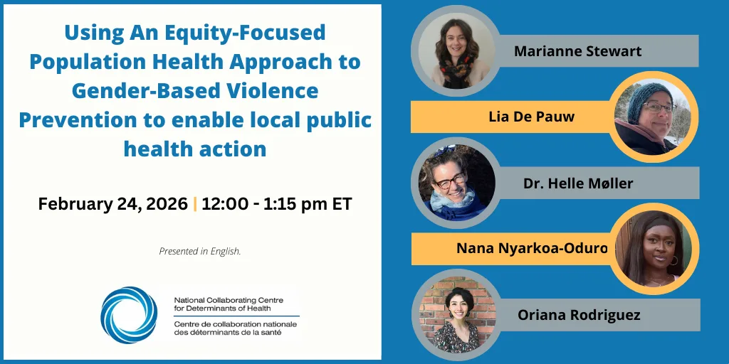 Using An Equity-Focused Population Health Approach to Gender-Based Violence Prevention to enable local public health action
