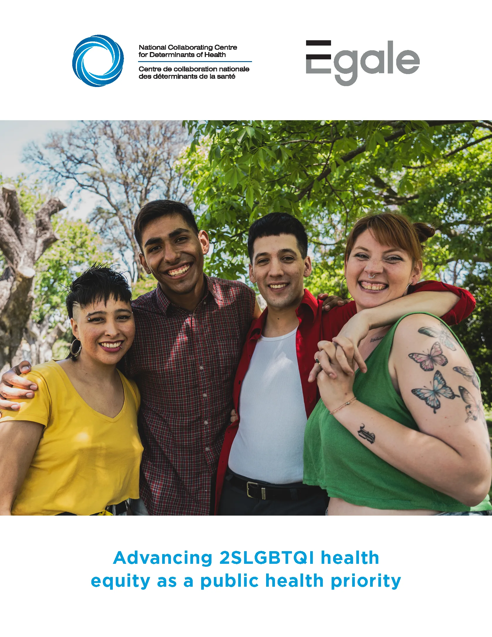 Advancing 2SLGBTQI health equity as a public health priority